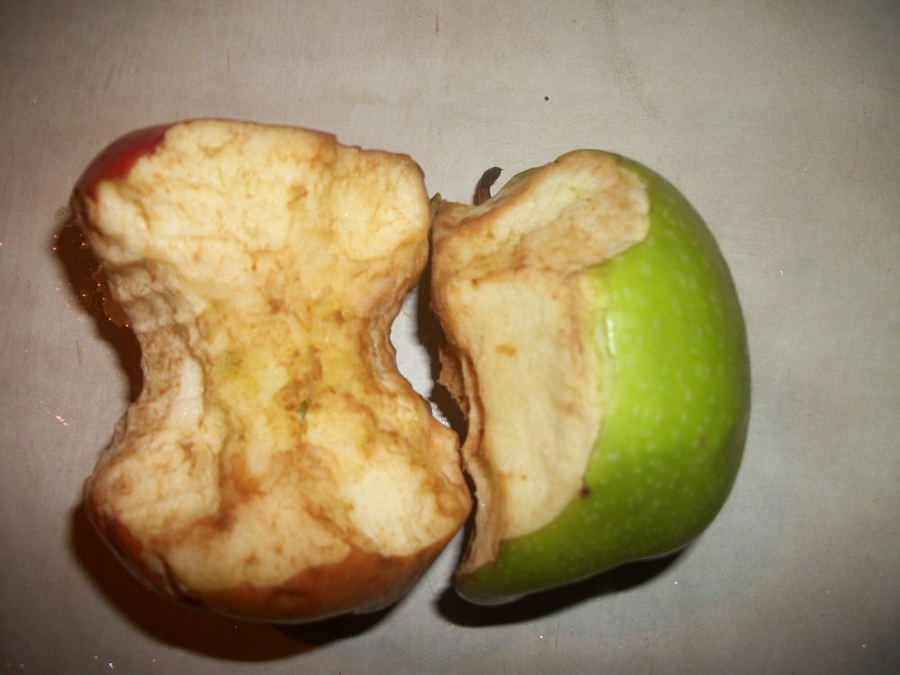 Often apples go waste if they are left cut up in the open. Brown 2